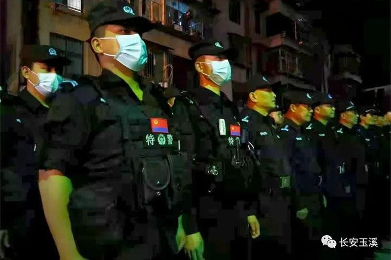 科技重塑英雄梦，最新特警电视剧大全的视听盛宴