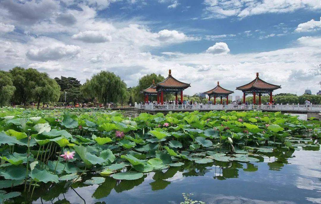辽阳龙石风景 第338页