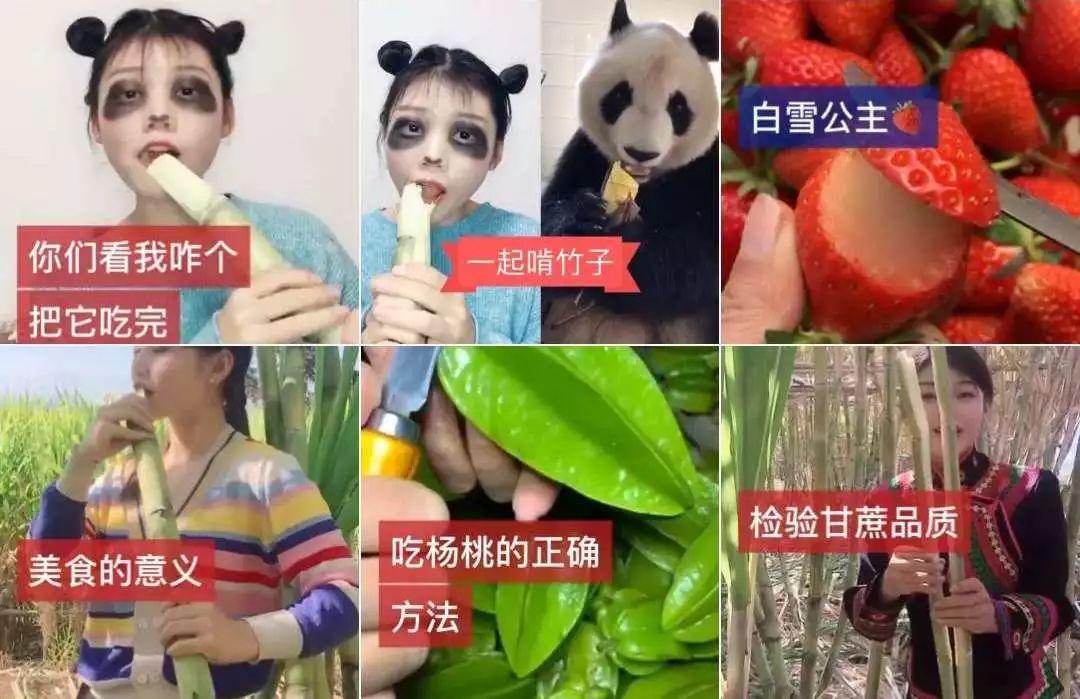 快手事件最新动态，变化中的学习路径与自信成就之源
