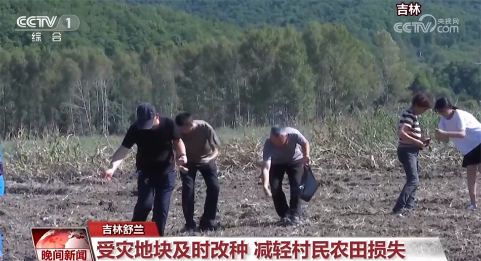 农村王四，展现乡村生活的魅力最新视频