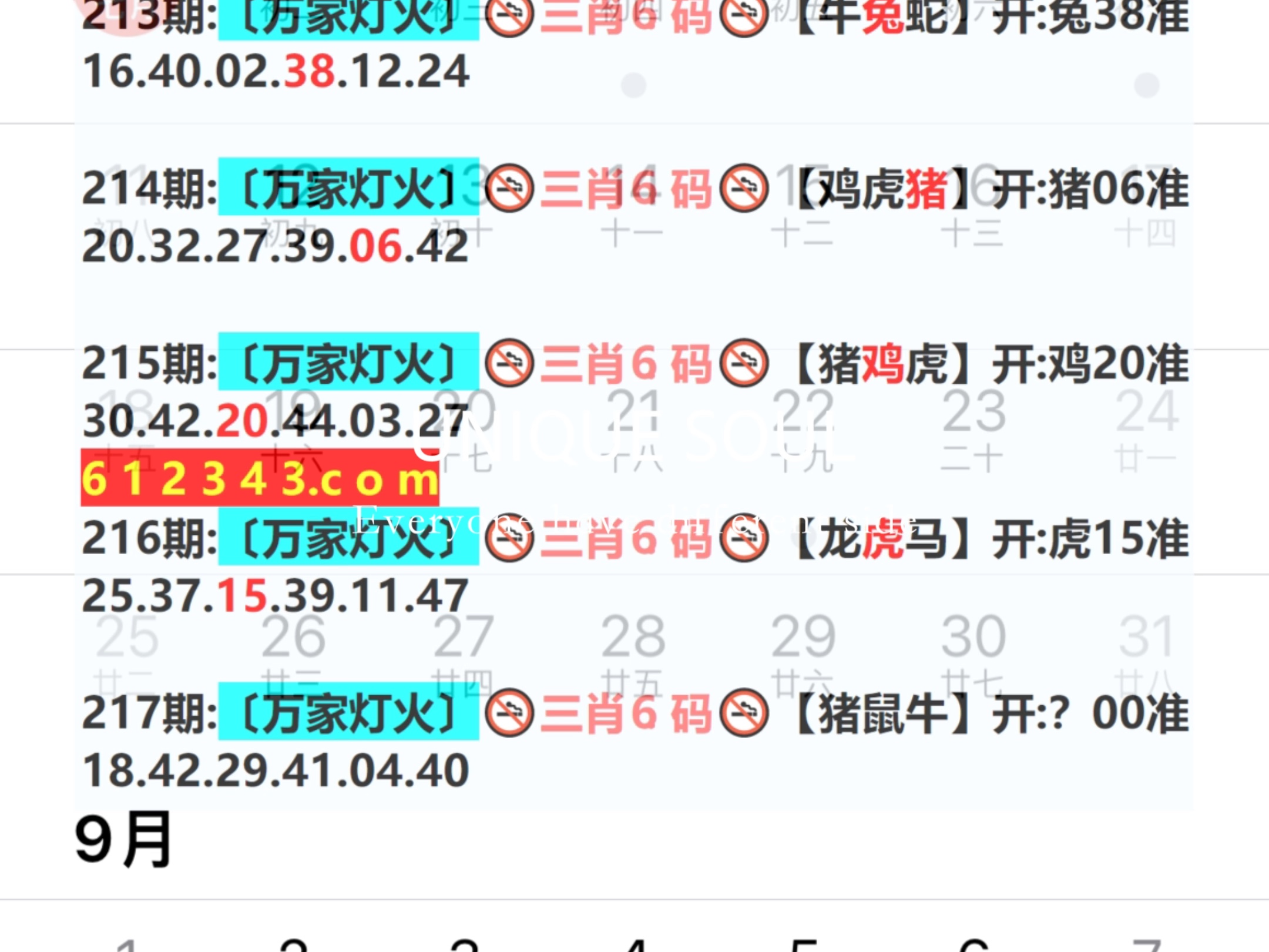 777788888新奥门开奖,最新数据挖解释明_开放版95.671