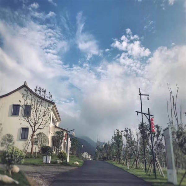 最新轩云软件深度解析，价值及影响概览