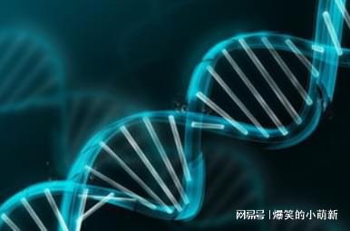 基因港NMN最新进展，引领时代的崛起及其影响力
