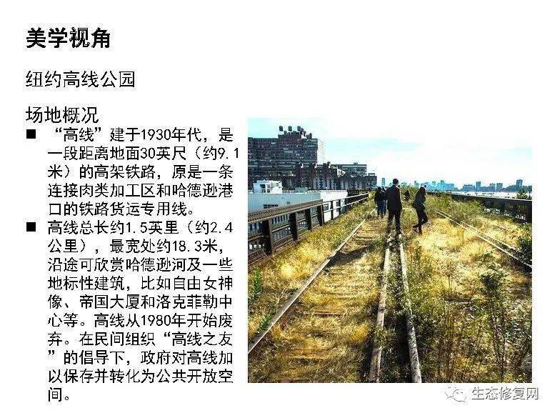 阿丘最新动态，多元视角下的观点分析深度解析