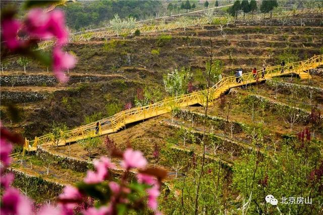 良乡机场最新动态，探索自然美景的轻松之旅，寻觅内心宁静与平和