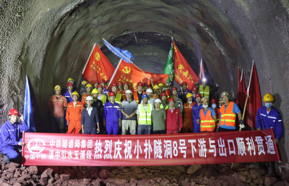 珠海最新鸟洞探秘，小巷里的惊喜自然生态之旅