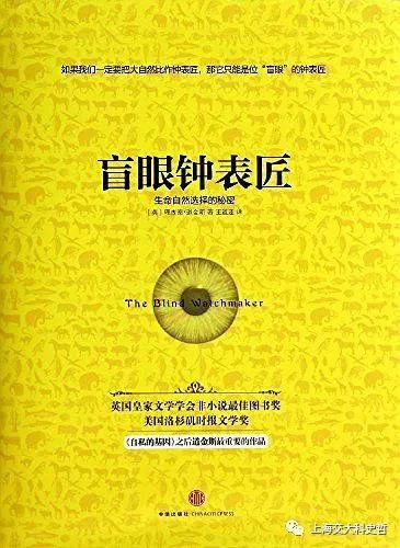 揭秘，9xj背后的故事，重大事件与当下地位探索