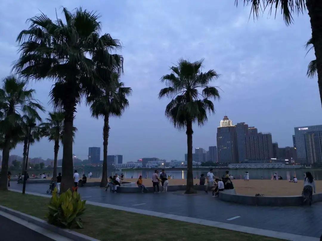 成都金沙湖最新消息，夏日记忆里的温馨涟漪