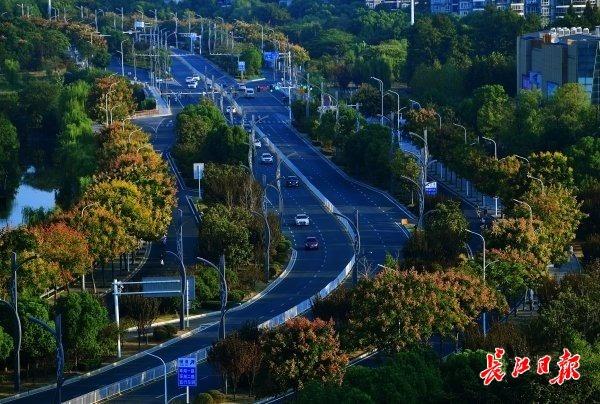 金银湖环湖路最新动态报道📣🌸