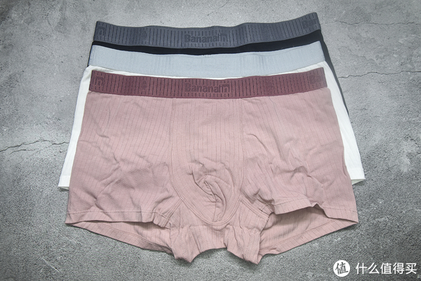 内裤奇缘最新文章目录概览与精彩回顾👖