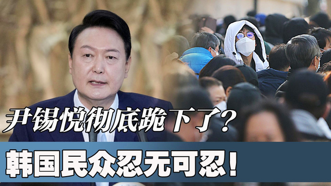 韩国煞德最新消息揭秘，温馨日常趣事不断上演