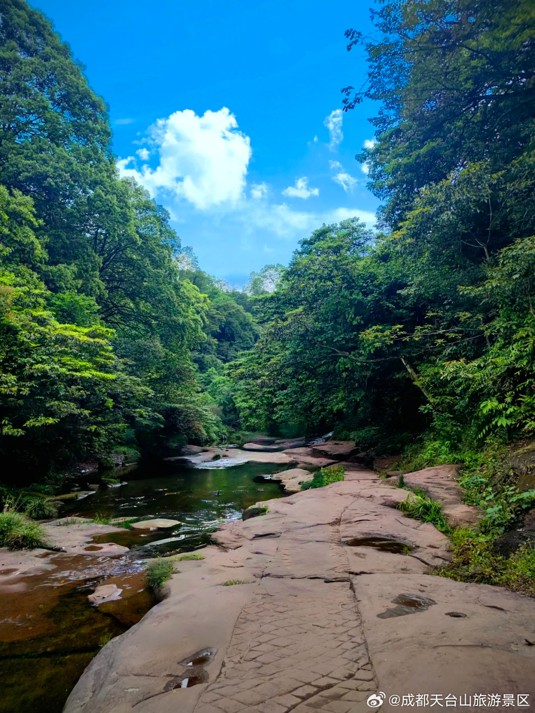 邛崃天台水库最新消息,邛崃天台水库的夏日奇遇