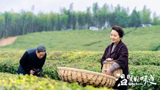 网络自制剧最新排行榜，家的味道与友情的温暖温暖人心时刻排行盘点