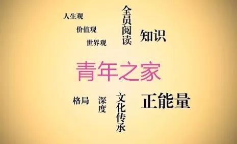 王五四与王纯洁最新文章观点探析，深度解读文章内涵与启示
