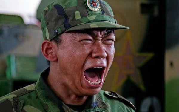 今日跌停股票名单背后的故事，变化、学习与信心的考验
