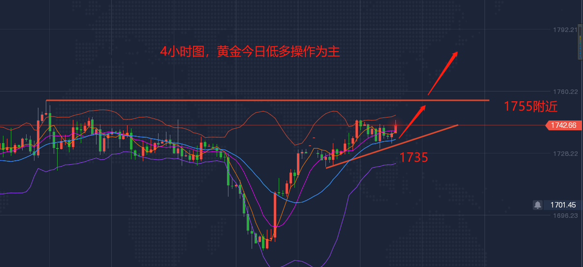 黄金单边行情深度解析，黄金市场的独特魅力探讨