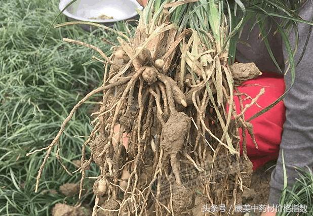 最新价格行情