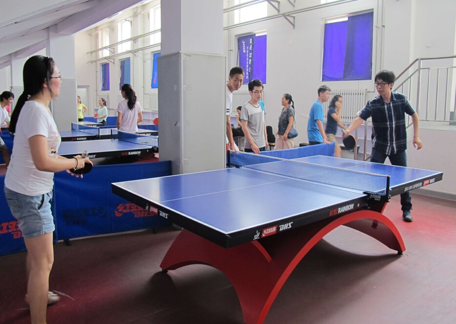 学校乒乓球比赛活动方案详解与规划