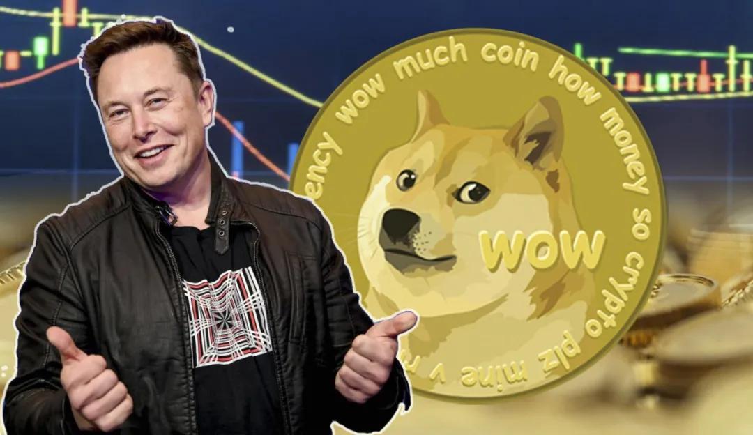 柴犬币动态，市场趋势、技术发展与行业影响力分析