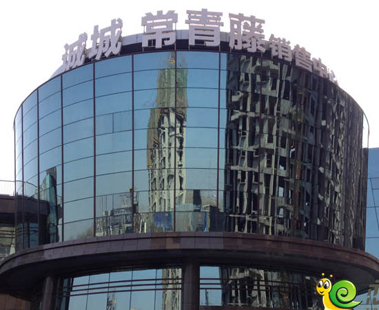 新乡常青藤瞩目发展脉络与地位，最新资讯汇总