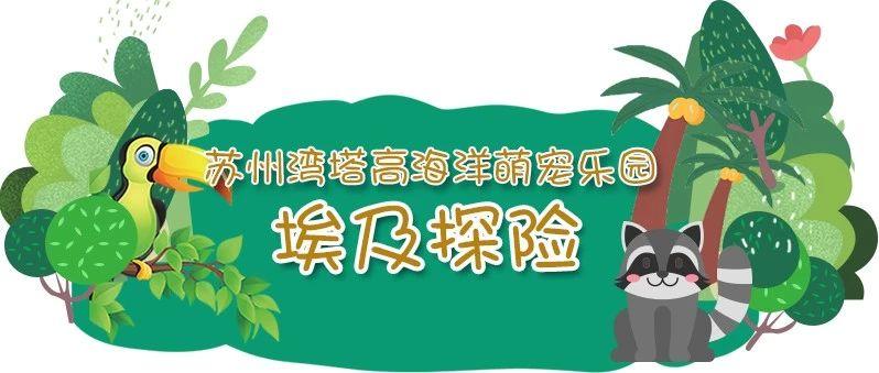 最新男生头像精选，自然美景探险之旅的时尚风采