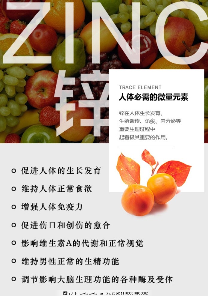 锌色之旅，探寻内心平静的旅程