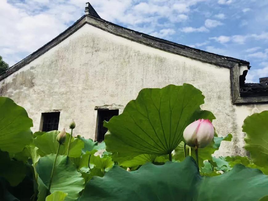 传媒最新动态，观点碰撞与探讨的盛会