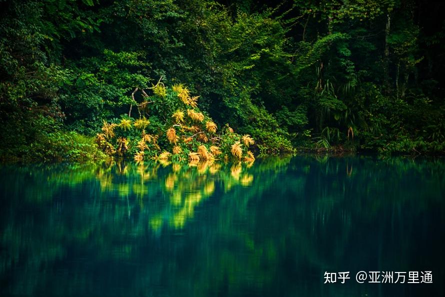 最新粥，自然美景之旅，寻找内心的平和与宁静