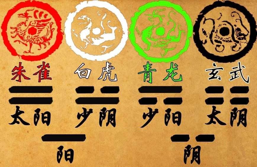 最新课程观点论述概览