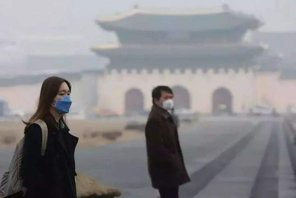 韩国电影新潮流，跨越文化边界的艺术表达