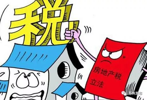 德约最新动态与相关观点解析