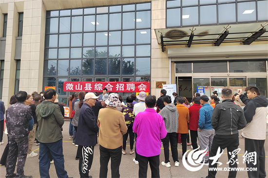 微山最新招聘信息深度解析与观点阐述