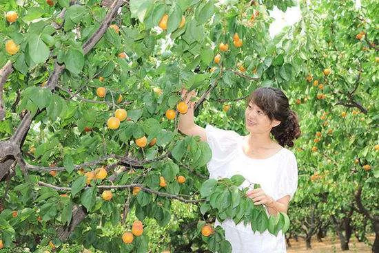 轻松跟上杏吧最新动态与资讯——杏吧最新资讯一览