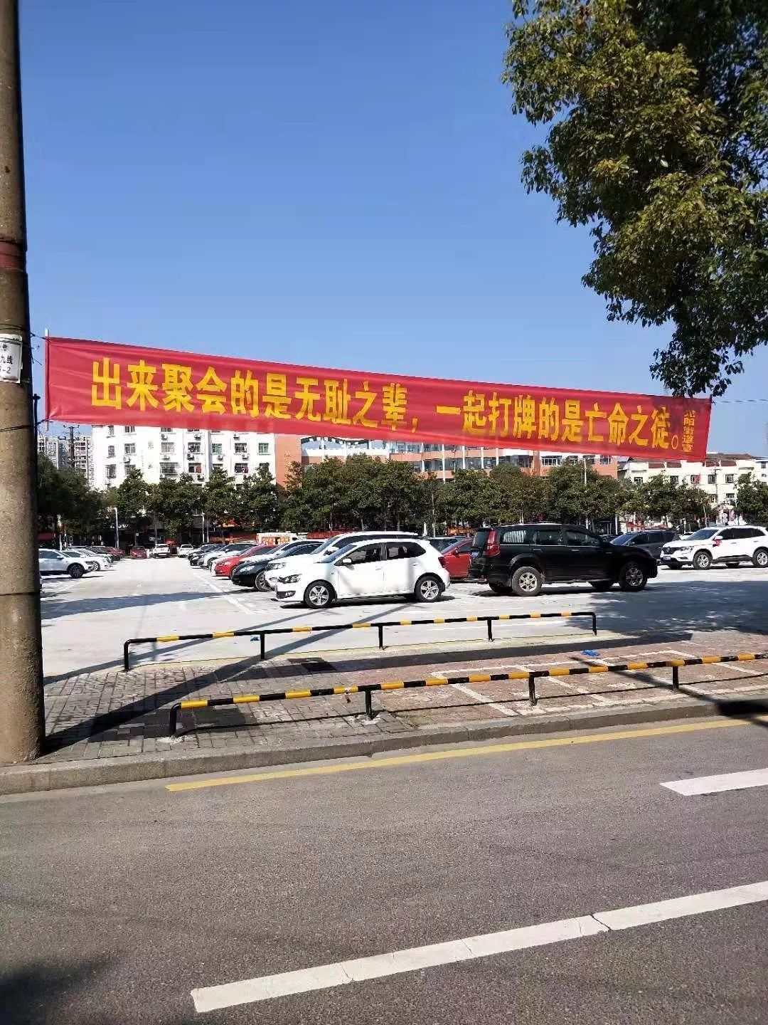 河南信阳疫情最新动态与小巷深处的独特风情与美食探索