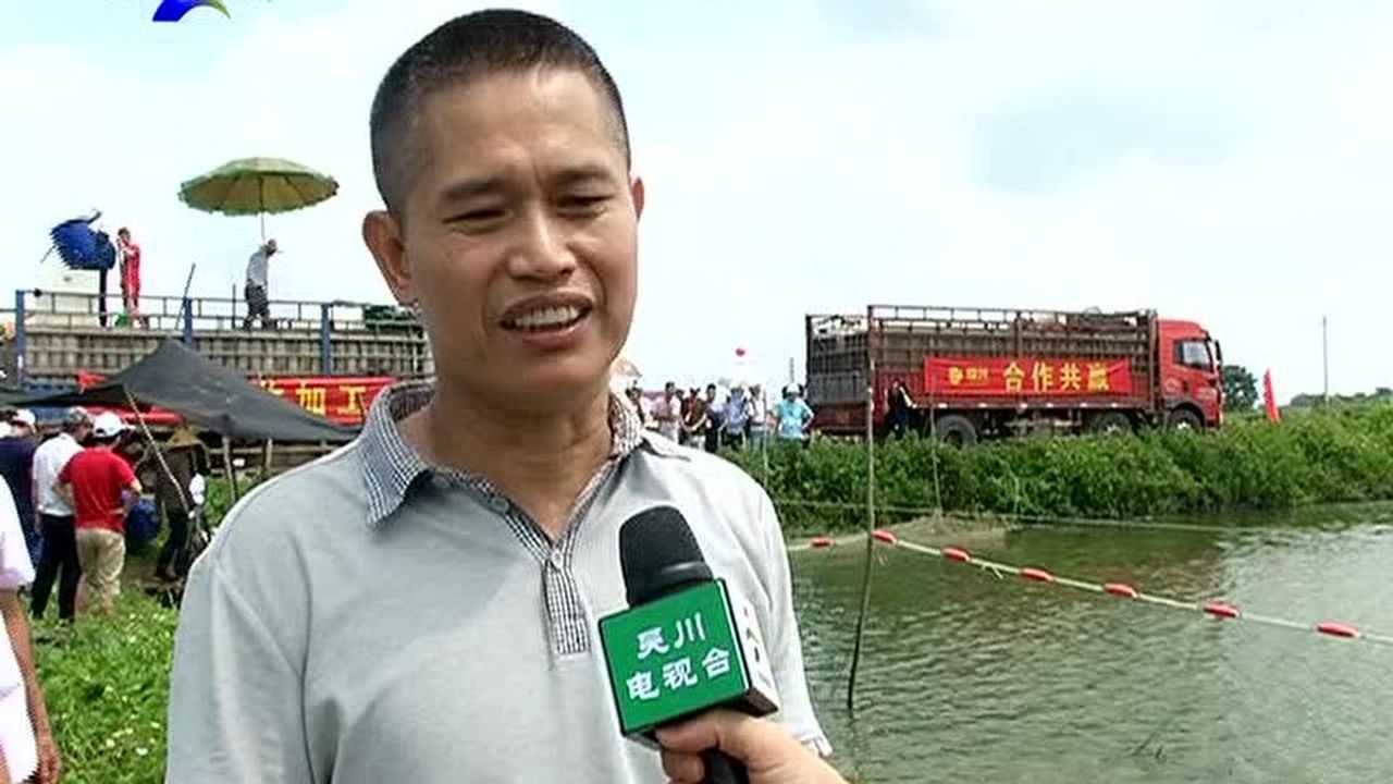 吴川最新新闻报道