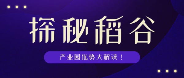 南川招聘网，科技引领求职新体验，最新招聘信息一网打尽