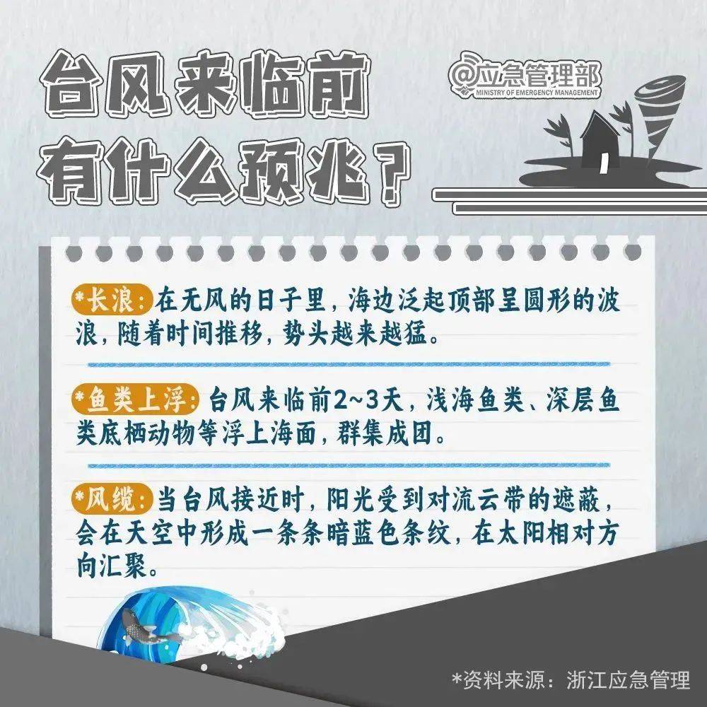 台风最新消息与温馨日常故事交汇报道