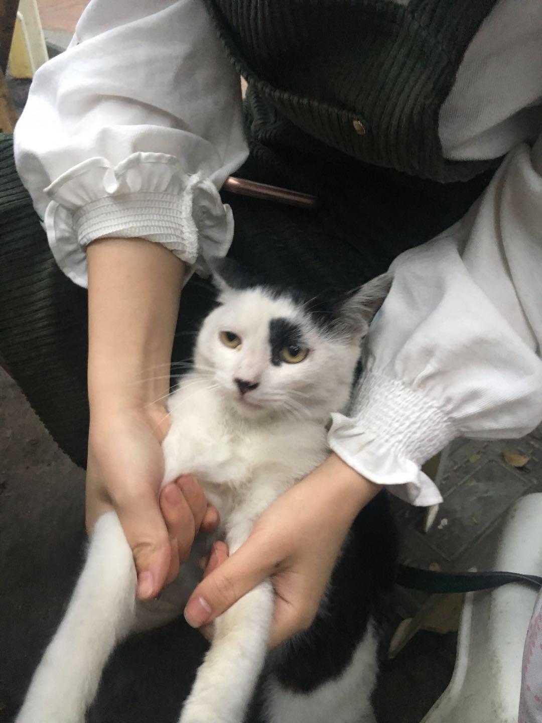 文化馆 第49页