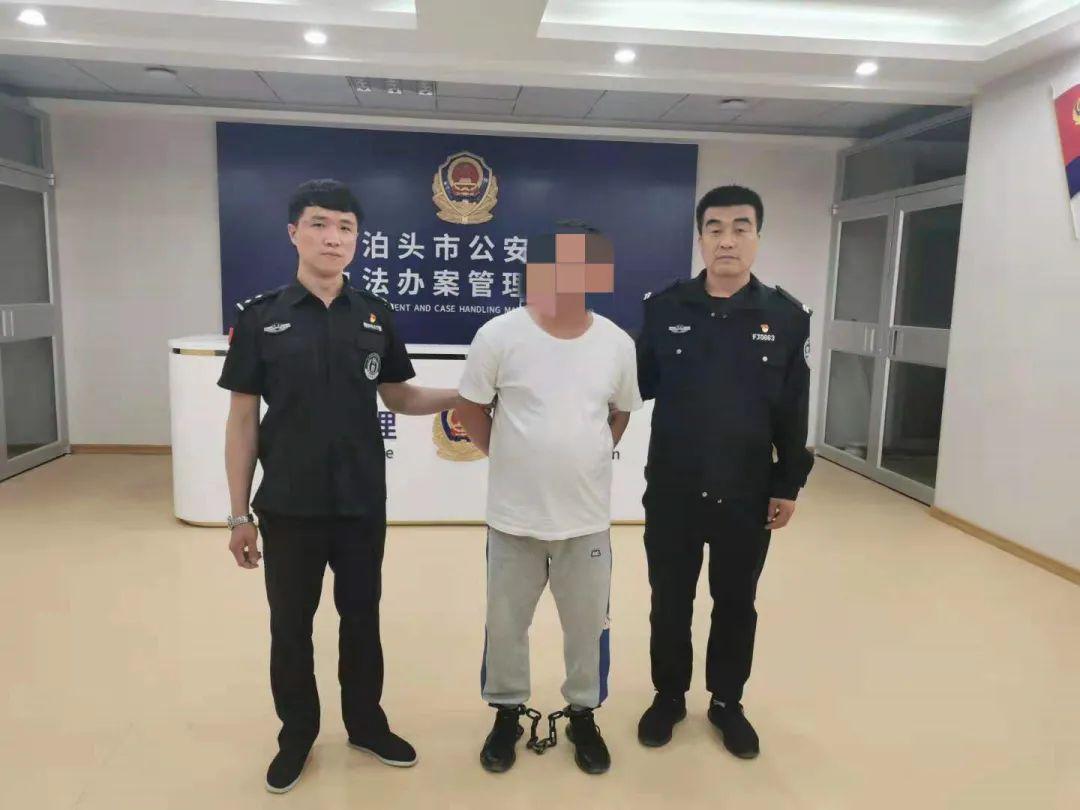最新诈骗电话揭秘，温馨日常中的陷阱警觉提醒