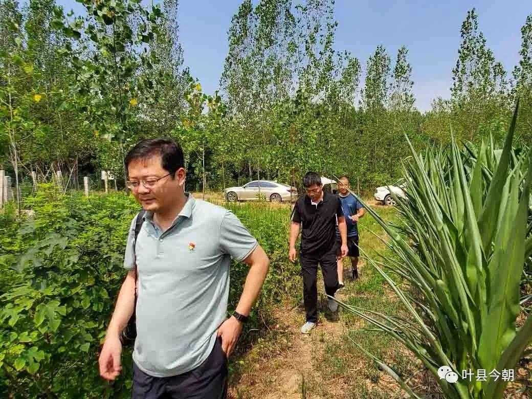 最新保安招聘启事