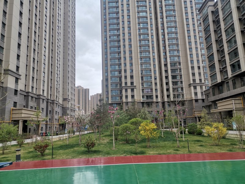 泰林黄河馨苑最新动态，自然美景探索之旅启程